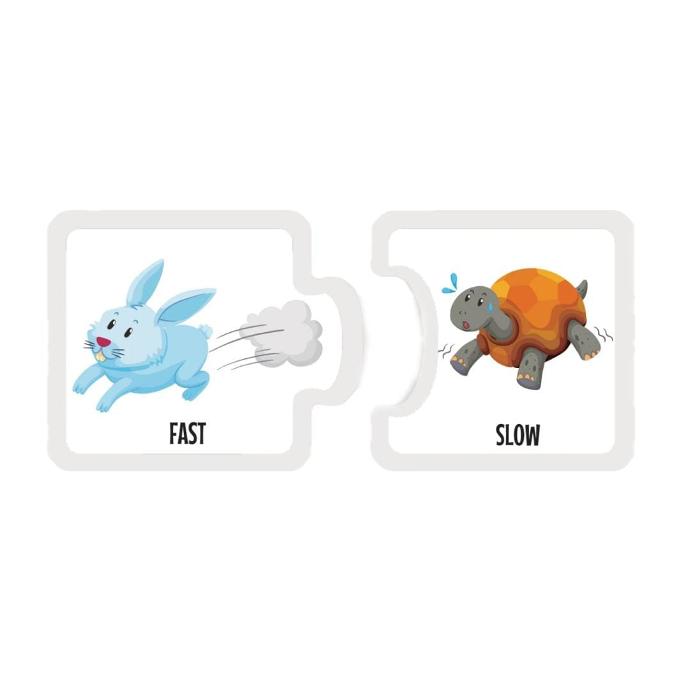 MATCH  OPPOSITES 1