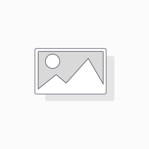 TANGRAM OVAL GIGANTE C/10 PZAS