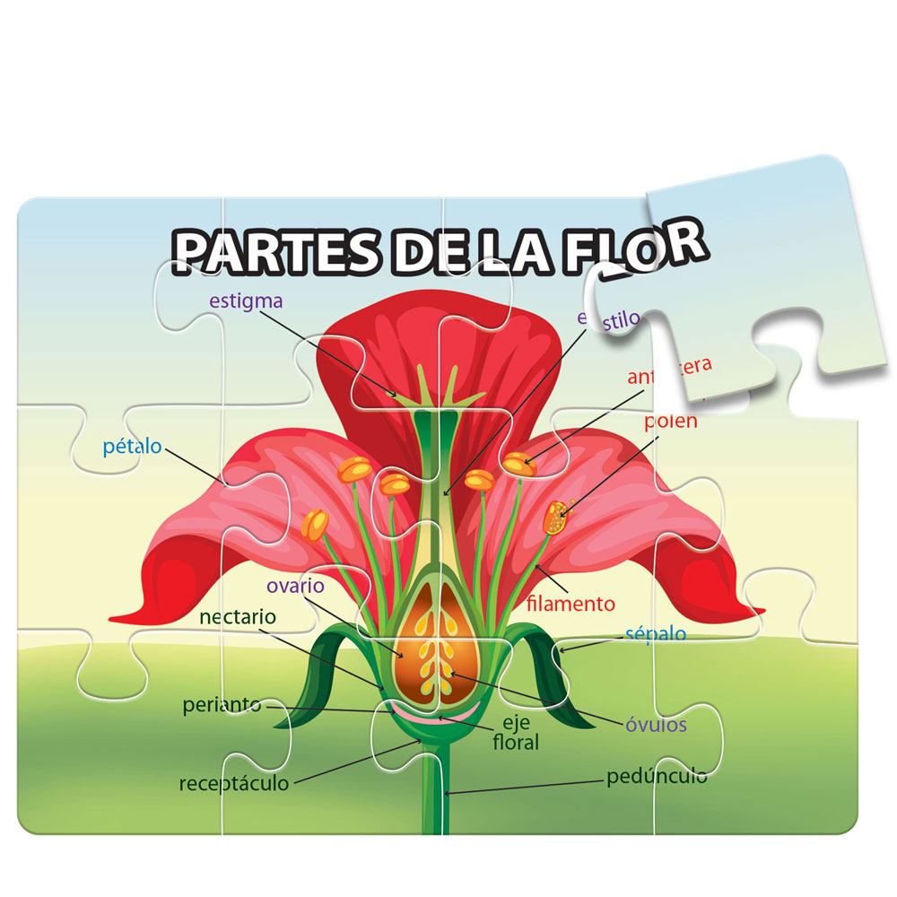 1716 ROMPECABEZAS PARTES DE LA FLOR (SOBRE PEDIDO)