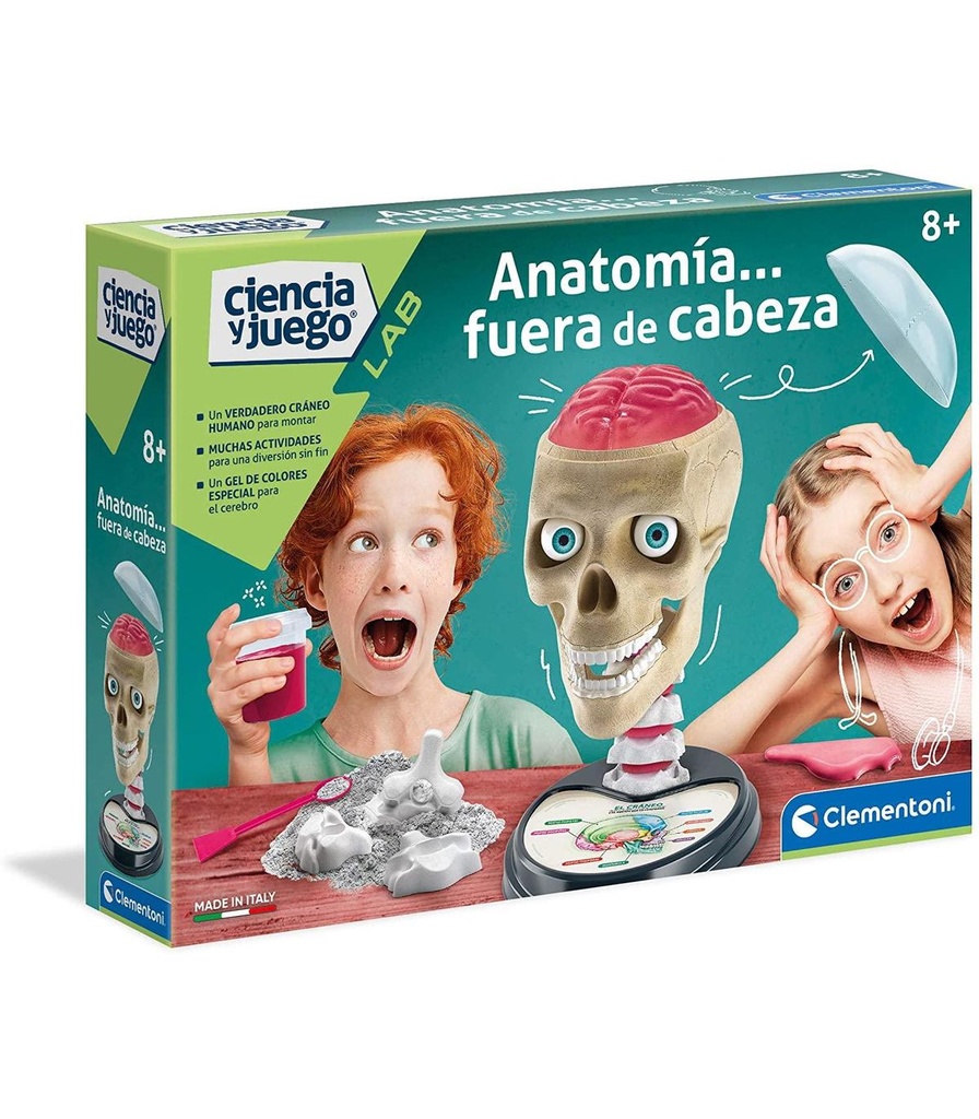 ANATOMIA FUERA DE CABEZA