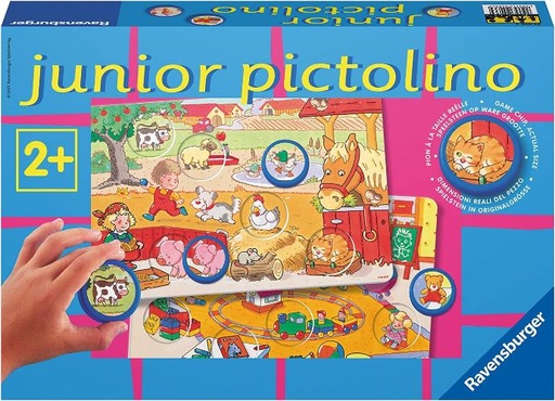 24036 JUNIOR PICTOLINO
