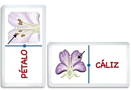 3388 DOMINÓ JR. PARTES DE LA FLOR C/28 PZAS